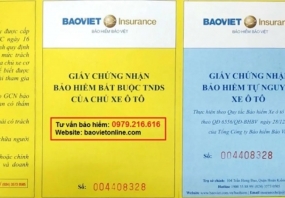Bảo hiểm ô tô bắt buộc 
