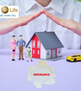 Tư vấn mua bảo hiểm bảo việt tại Tp.HCM 