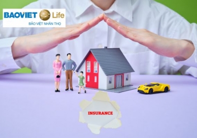 Tư vấn mua bảo hiểm bảo việt tại Tp.HCM 